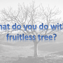 What do you do with a fruitless tree? - Wed
