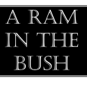 A Ram In The Bush