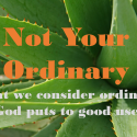 Not Your Ordinary ~ What We Consider Ordinary, God Puts To Good Use