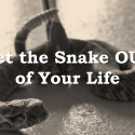Get the Snakes Out of Your Life