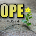Bible Study -  Hope