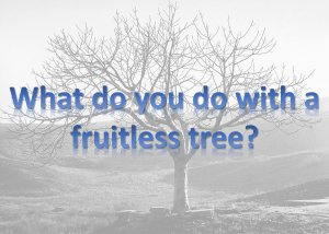 FruitlessTree-wed