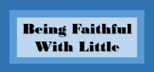 BeingFaithfulWithLittle-Wed
