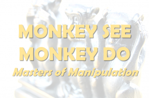 MonkeySeeMonkeyDo-wed