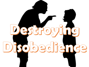 DestroyingDisobedience-wed